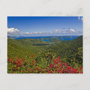 A scenic of Cruse Bay, St. John U.S Virgin Postcard