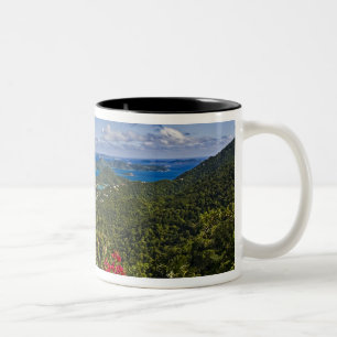 A scenic of Cruse Bay, St. John U.S Virgin Two-Tone Coffee Mug
