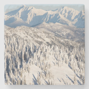 A Scenic View of Snowy Mountains and Trees. Stone Coaster
