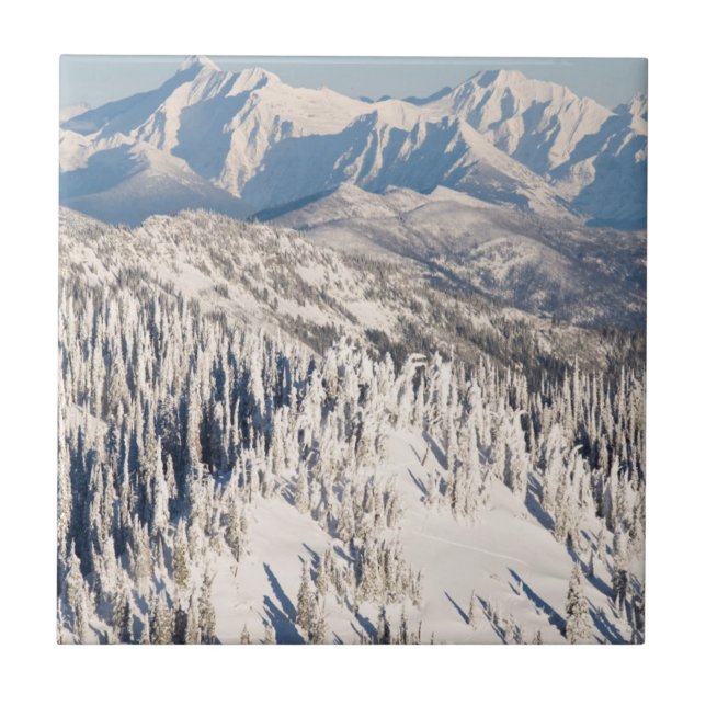 A Scenic View of Snowy Mountains and Trees. Tile (Front)