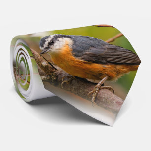 A Sceptical Red-Breasted Nuthatch Tie