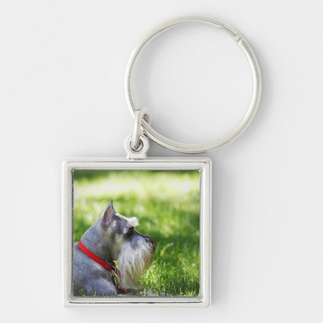 A Schnauzer laying in the grass Keychain (Front)