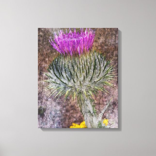 A Scottish Thistle Canvas Print (Front)