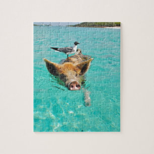 A sea gull and a pig jigsaw puzzle