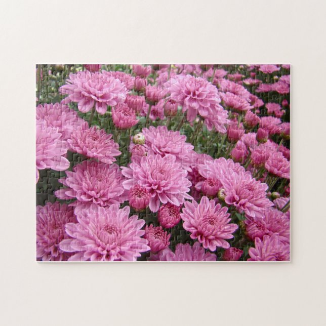 A Sea of Pink Chrysanthemums #2 Jigsaw Puzzle (Horizontal)
