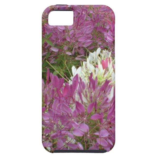 A sea of purple flowers in full bloom summertime Case-Mate iPhone case (Back)