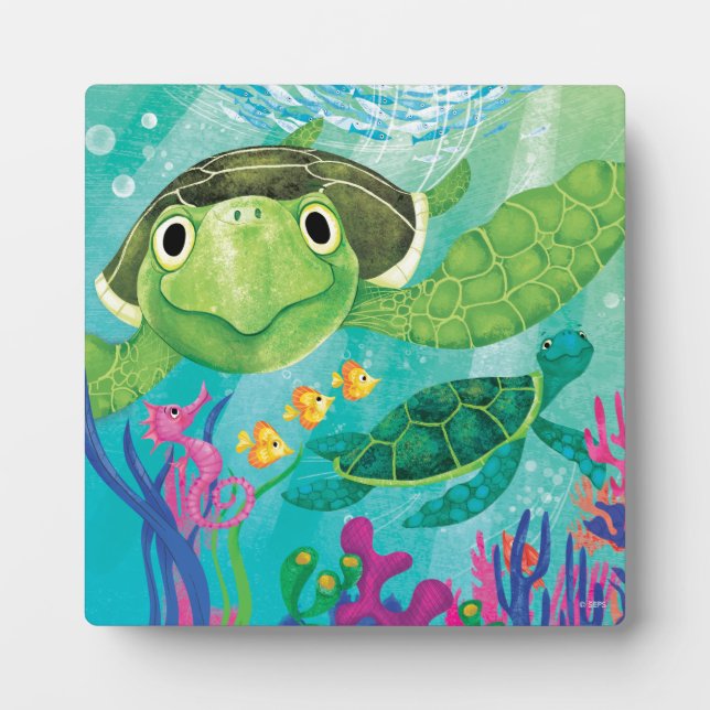 A Sea Turtle Rescue Plaque (Front)