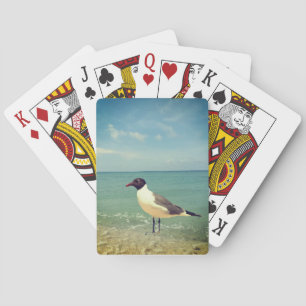 A seagull playing cards