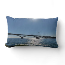 A Seagull's Local Travel