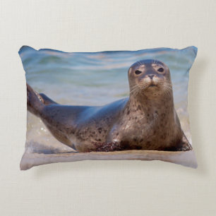 A seal on a beach along the Pacific Coast Accent Pillow
