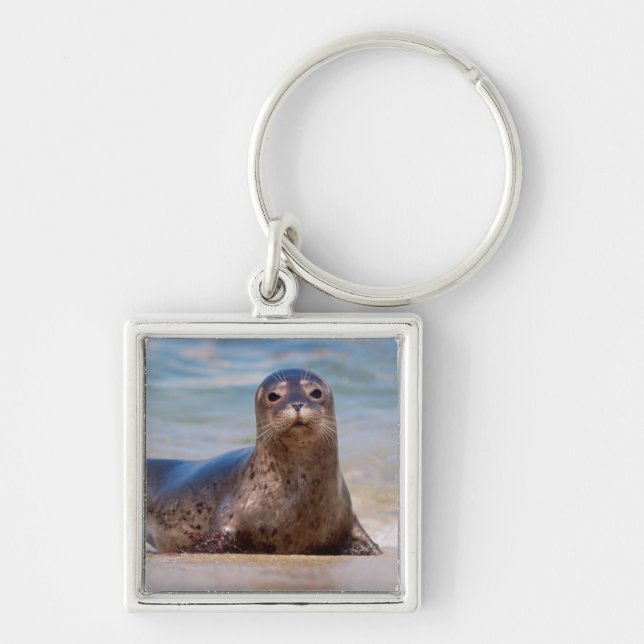 A seal on a beach along the Pacific Coast Keychain (Front)