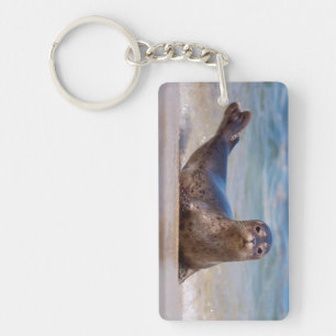 A seal on a beach along the Pacific Coast Keychain