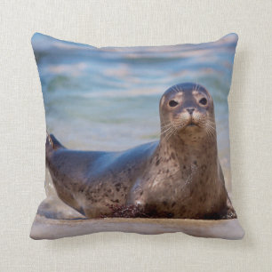 A seal on a beach along the Pacific Coast Throw Pillow