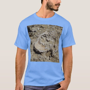 A seashell and foraminifera fossils in sandstone 1 T-Shirt