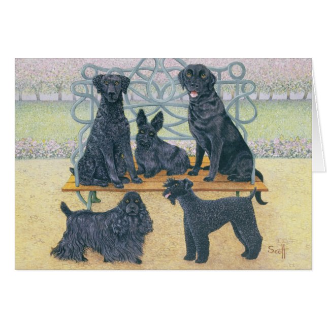 A seat in the park (Front Horizontal)