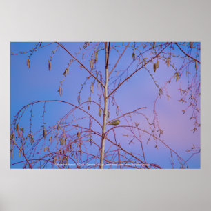 A Secret at Sunset Poster