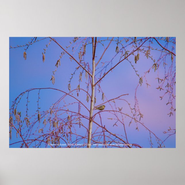 A Secret at Sunset Poster (Front)