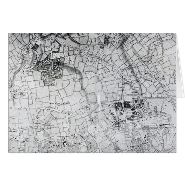 A section of a sheet from the survey (Front Horizontal)