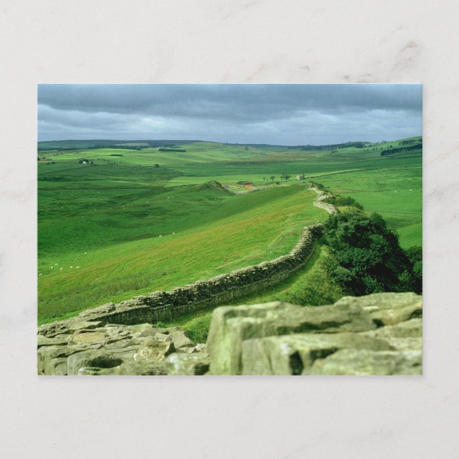 A section of Hadrian's Wall, 2nd century AD (stone Postcard (Front)