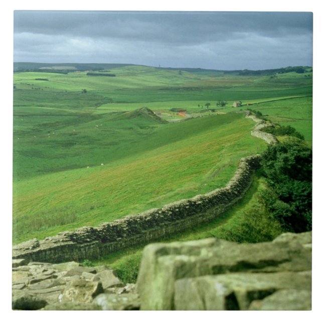 A section of Hadrian's Wall, 2nd century AD (stone Tile (Front)