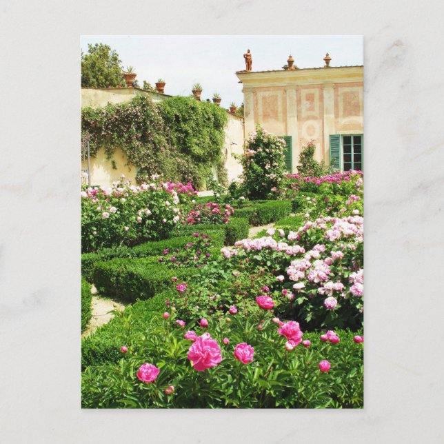 A Serene Formal Rose Garden Postcard (Front)