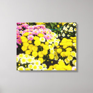 A set of white, yellow and purple chrysanthemums canvas print