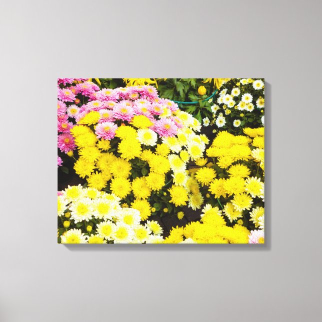 A set of white, yellow and purple chrysanthemums   canvas print (Front)