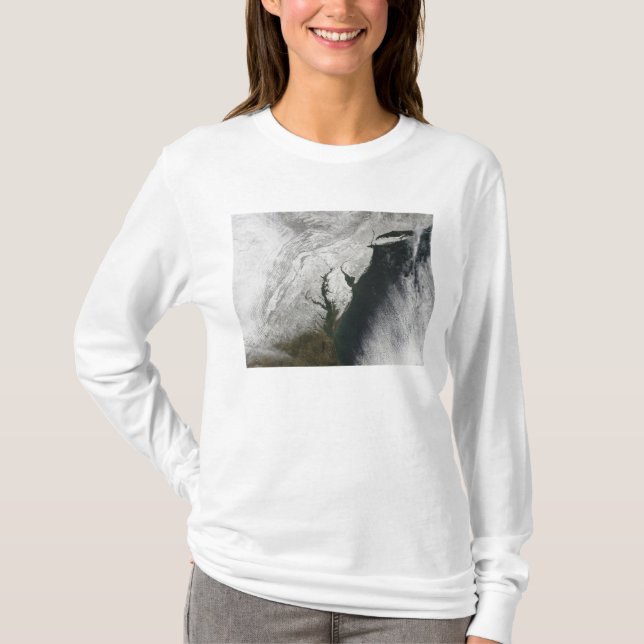 A severe winter storm 2 T-Shirt (Front)