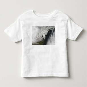 A severe winter storm 2 toddler t-shirt