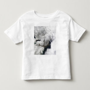 A severe winter storm toddler t-shirt