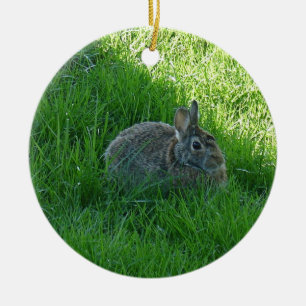 A Shady Bunny Ceramic Ornament