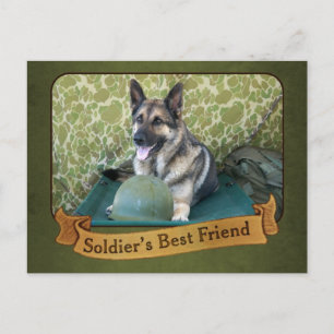 A Shepherd is a Soldier's Best Friend Postcard