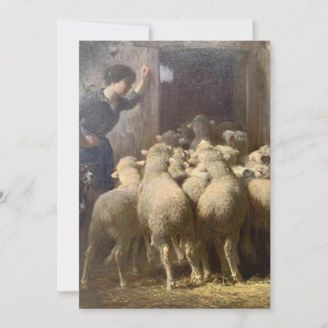 A Shepherdess, Her Dog, and Sheep in Barn  Holiday Card (Front)