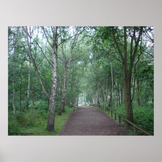 A Sherwood Forest Path Poster (Front)