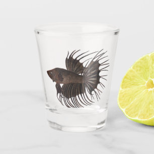 A Shot Bêta - Verre de tir de poisson