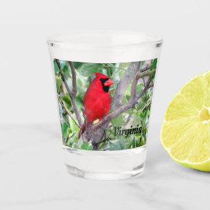 A Shot Cardinal du Nord - Verre de tir d'oiseaux de l'Ét