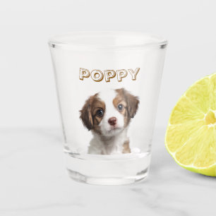 A Shot Photo de chien personnalisé et nom du verre de tir