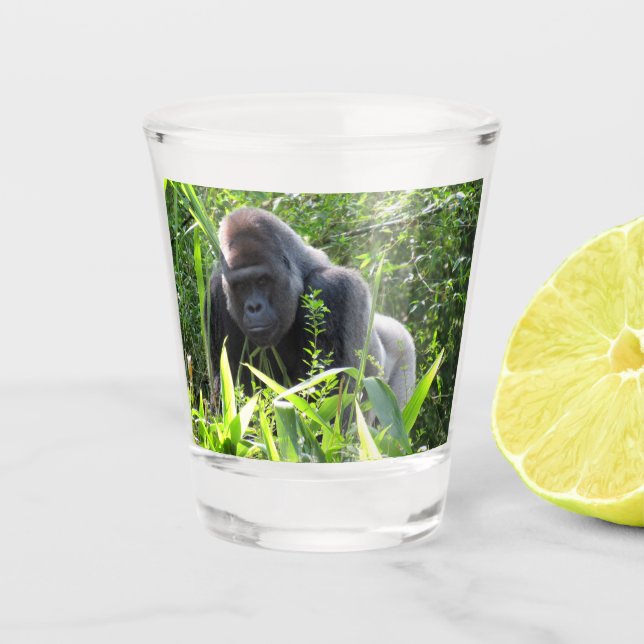 A Shot Silverback Gorilla Verre de tir (Devant)