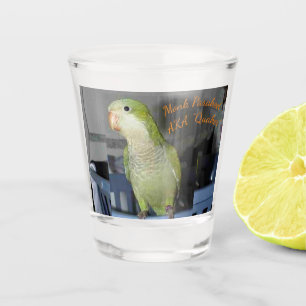 A Shot Verre à liqueur avec le motif de perruche de