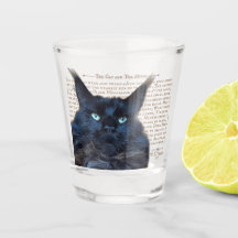 Verre de tir - noir Maine Coon chat