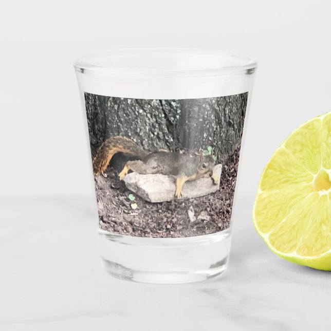 A Shot Verre d'écureuil (Devant)