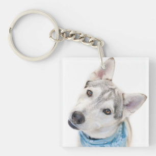 A Siberian Husky Mix Tilts its Head Keychain