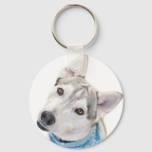 A Siberian Husky Mix Tilts its Head Keychain