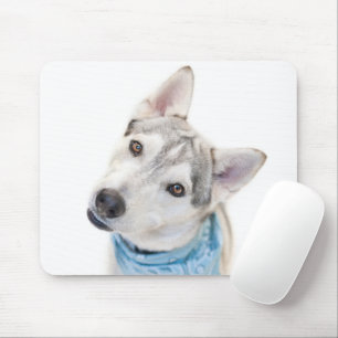 A Siberian Husky Mix Tilts its Head Mouse Pad