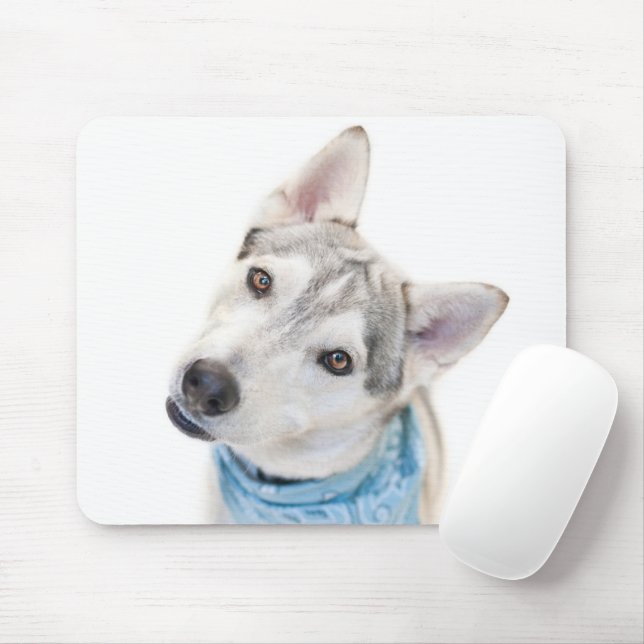 A Siberian Husky Mix Tilts its Head Mouse Pad (With Mouse)