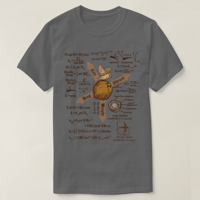 A Simple Question of Weight Ratios 2 T-Shirt (Design Front)