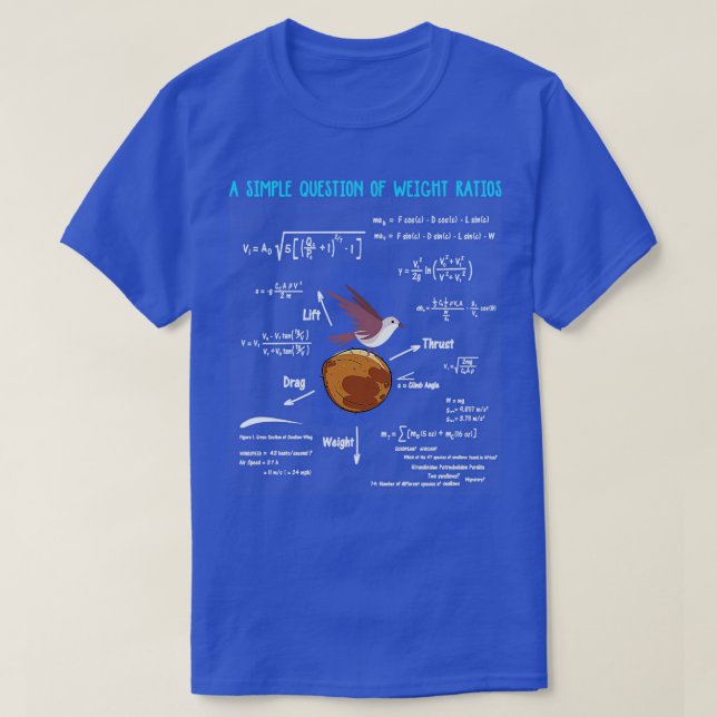 A Simple Question Of Weight Ratios Funny Math Teac T-Shirt (Design Front)