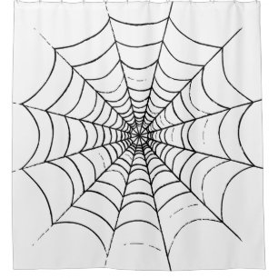 A Simple Spider's Web