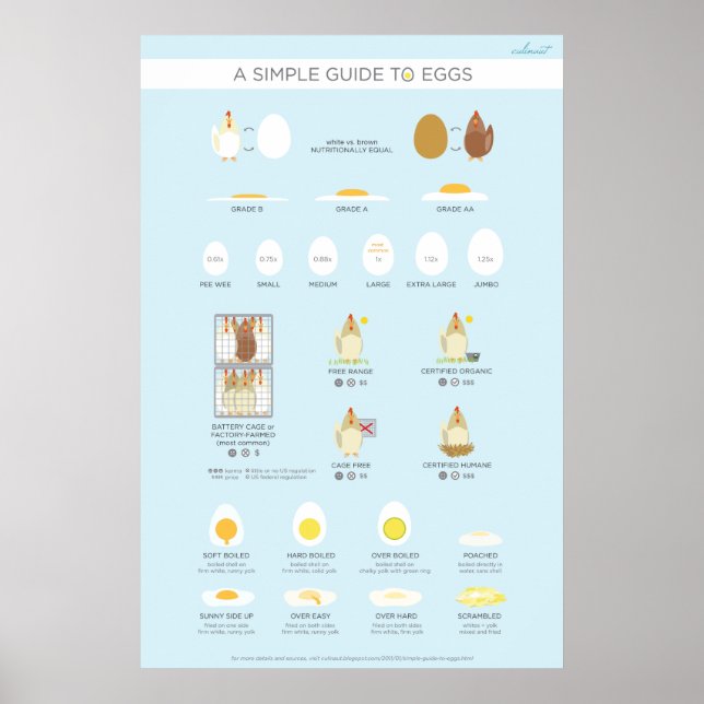 A simple (visual) guide to eggs poster (Front)