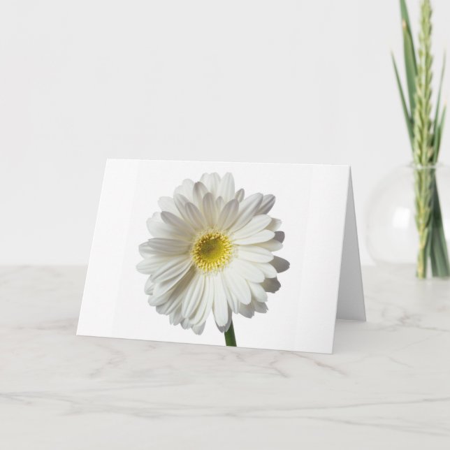 A Single Daisy for you and the Cancer Warrior Thank You Card (Front)